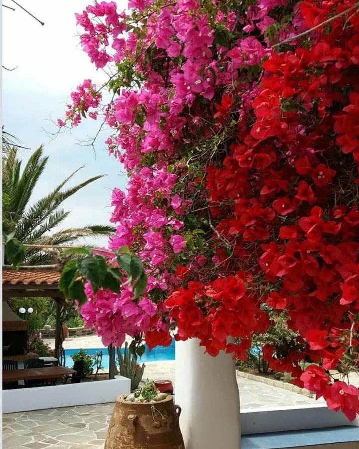 Villa Pari Manda Agios Prokopios  Dış mekan fotoğraf