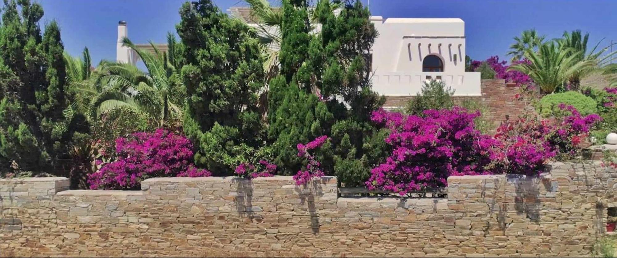 Villa Pari Manda Agios Prokopios  Dış mekan fotoğraf